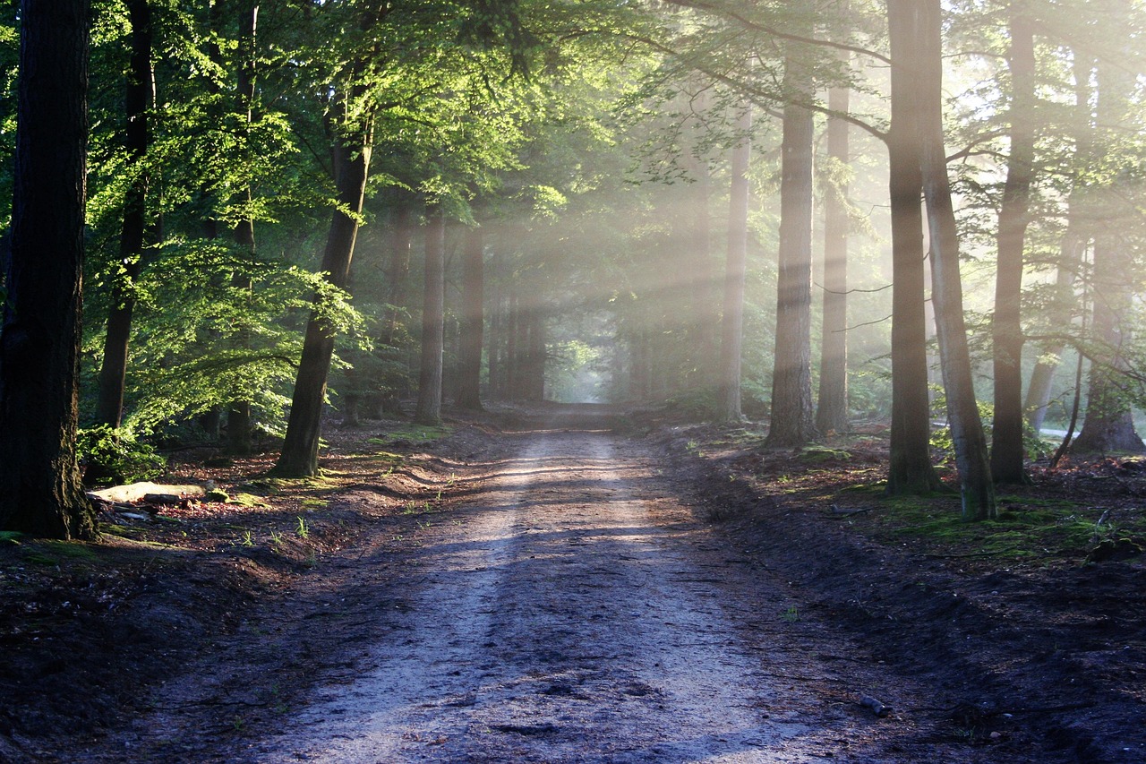 Night Hiking: What Changes When the Sun Goes Down