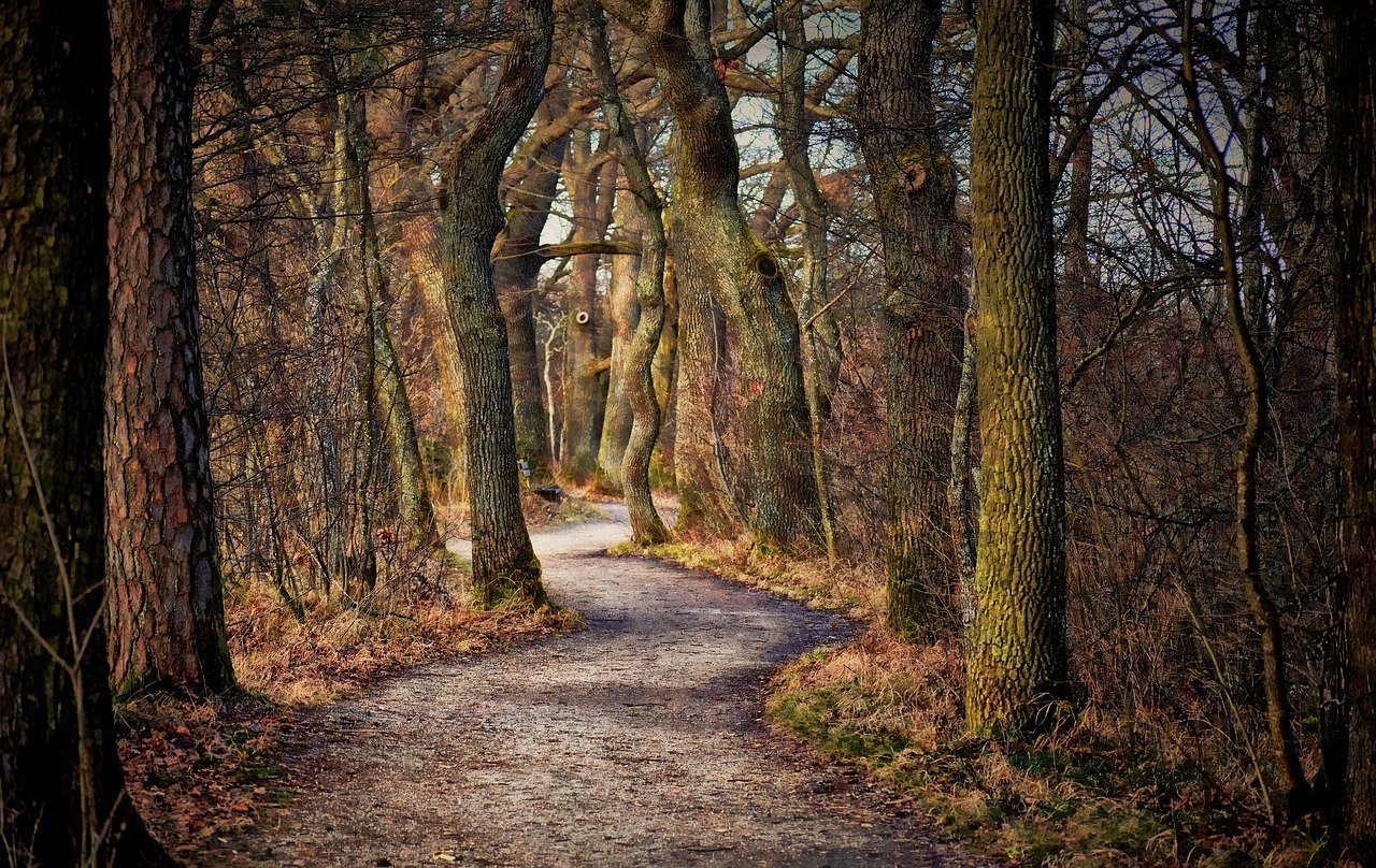 Shoulder Season Hiking: Making the Most of Spring and Fall Trails