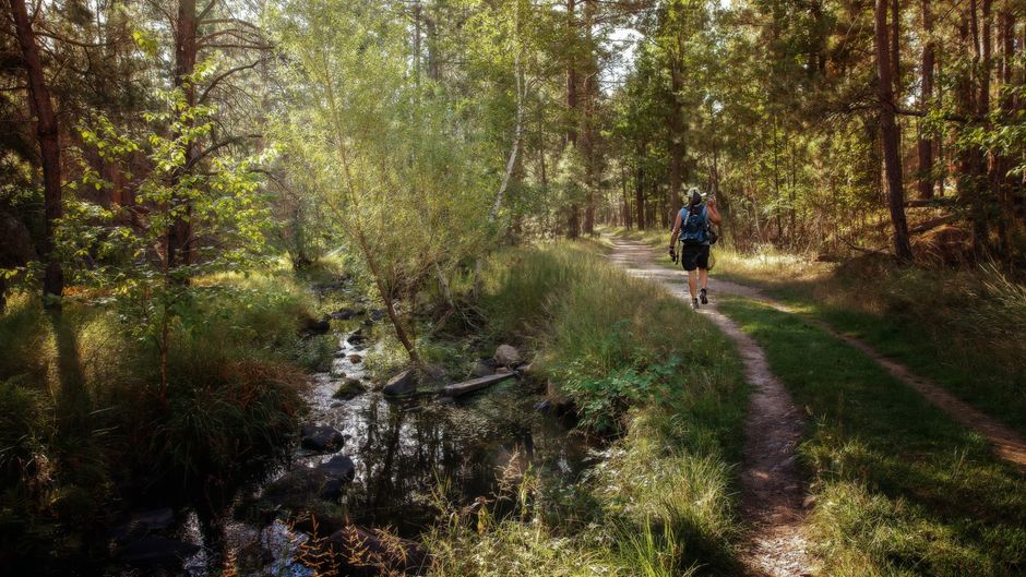 The First Mile Is the Hardest: A Beginner's Guide to Trail Confidence